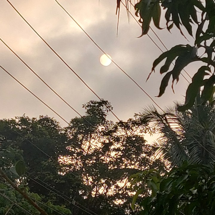 A cloudy morning