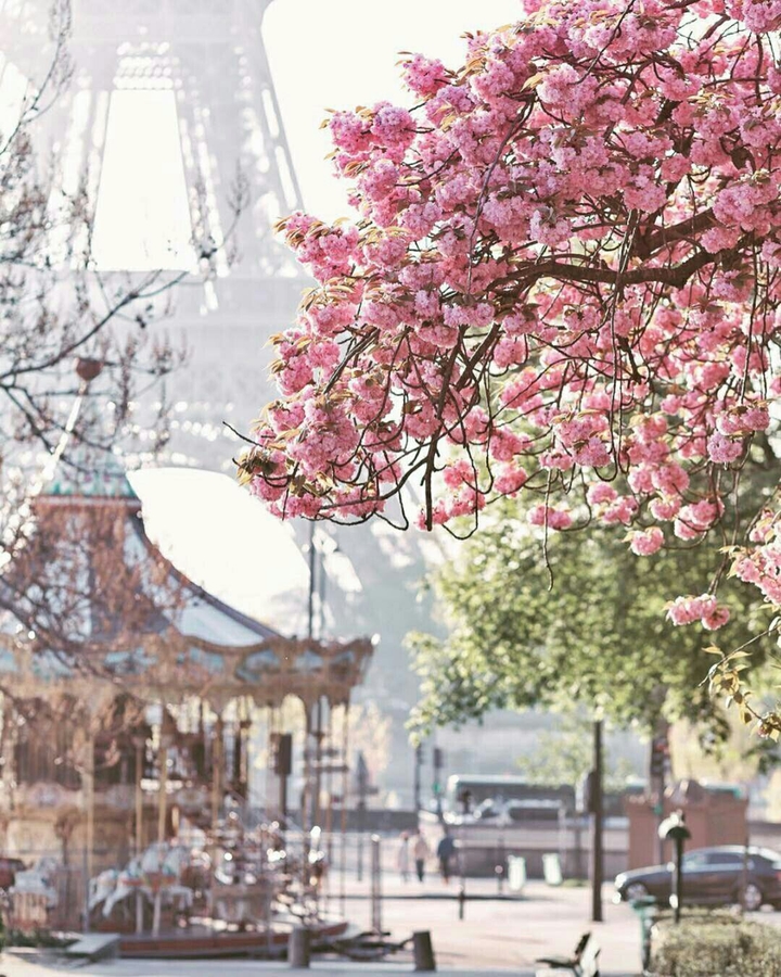 tour Eiffel
