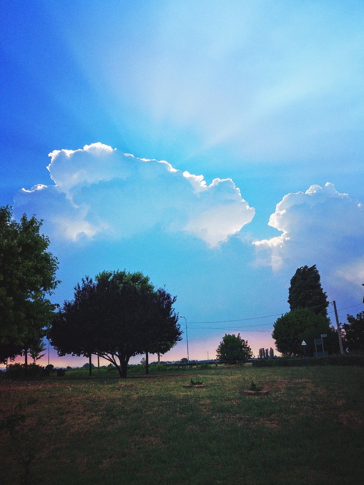 Summer Sky
