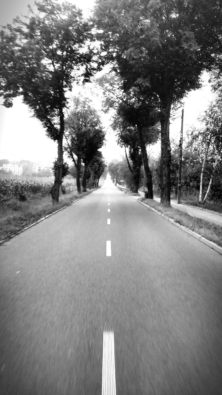 Lonesome Road
