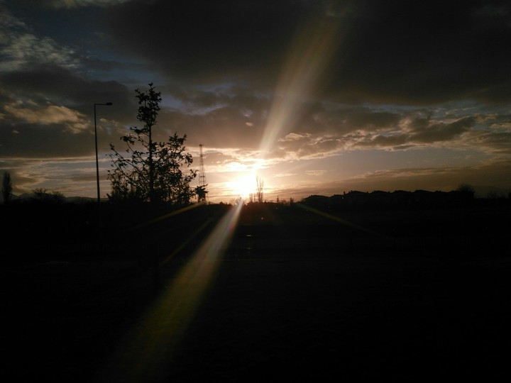 sunlight
