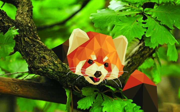jungle