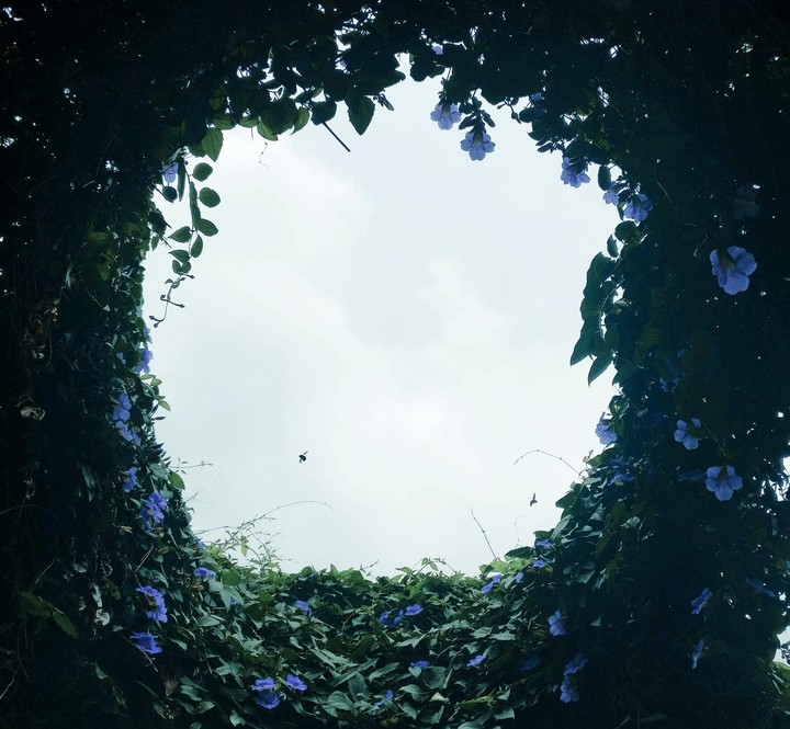 #creative nature