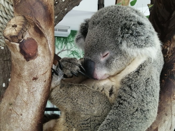 Zoo
