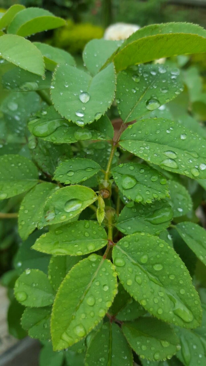 Nature