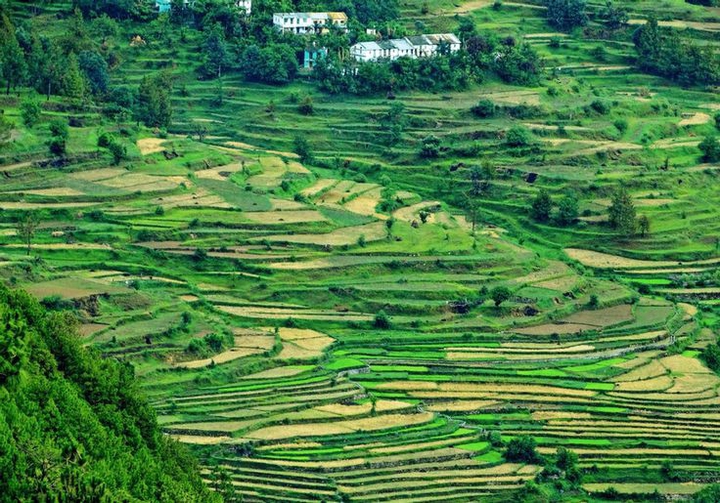 Kausani , Uttarakhand , India