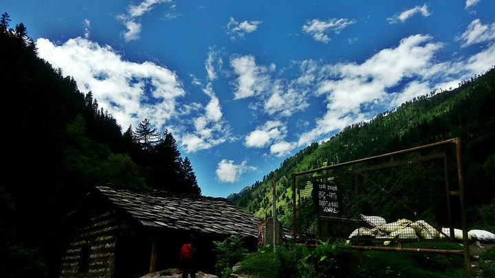 In love with nature