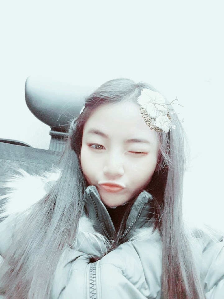 내 사진