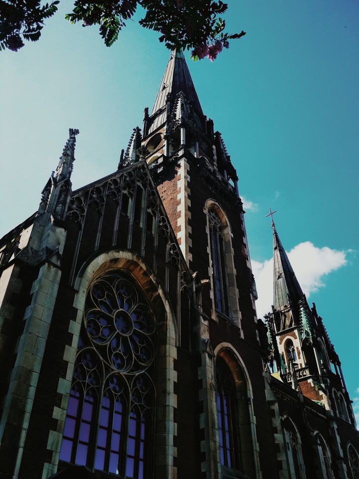 Church / Костёл  Святых Ольги и Елизаветы во Львове