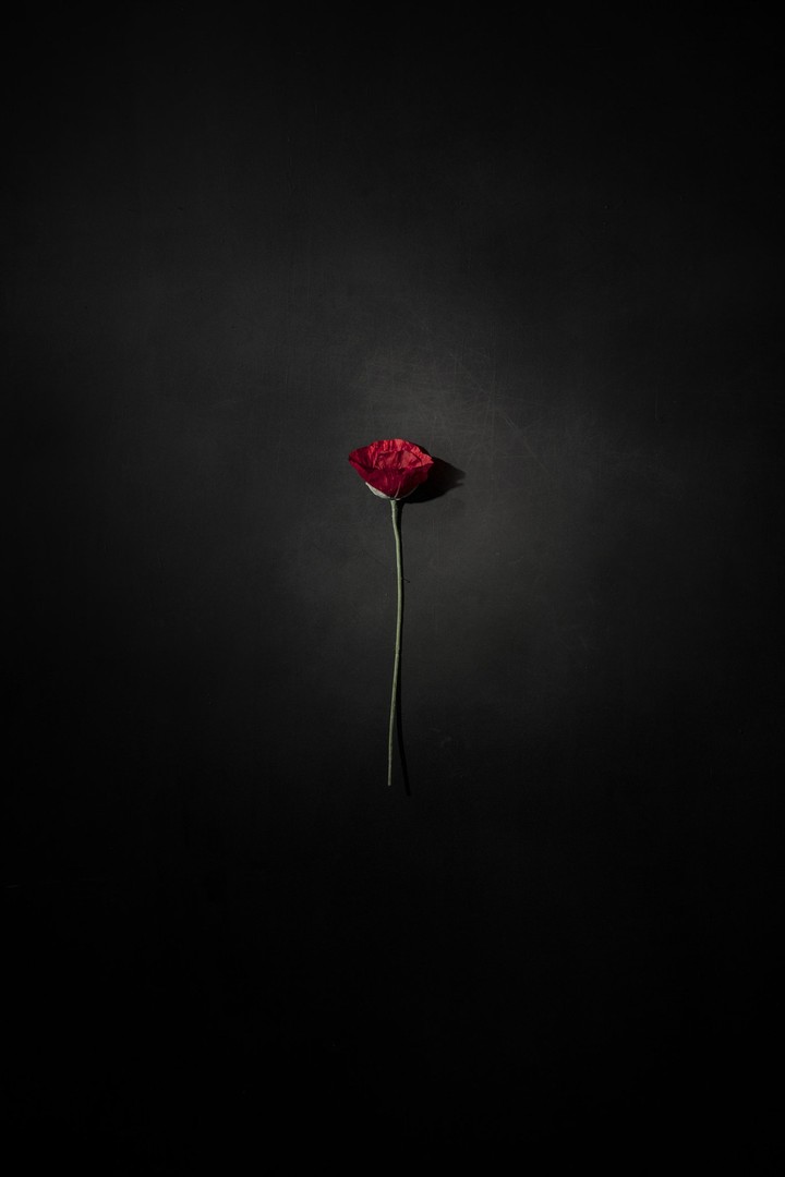¦
