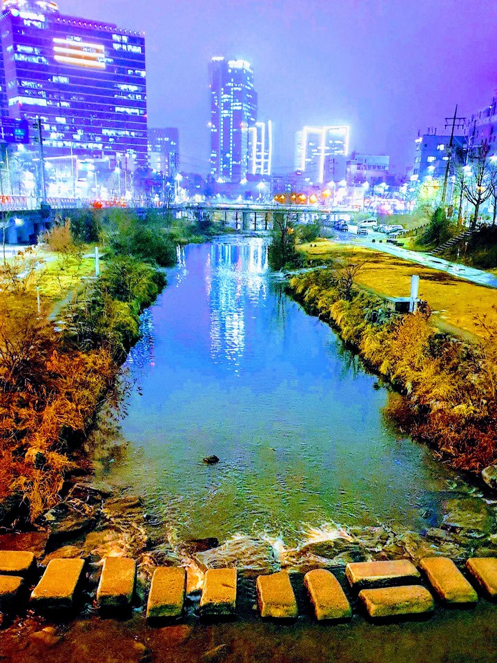 우리동네