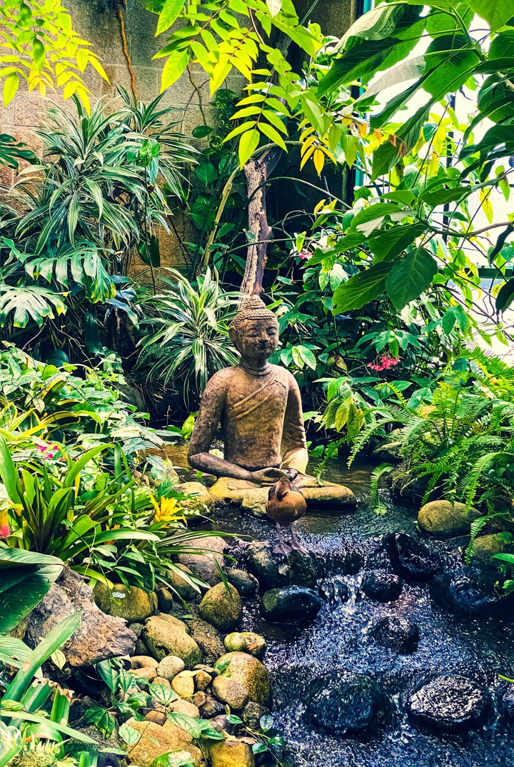 Buddham Saranam Gacchami