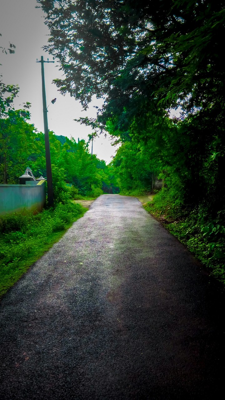 Life is a road