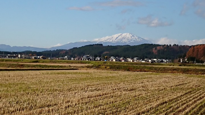 晩秋