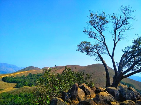 Nature