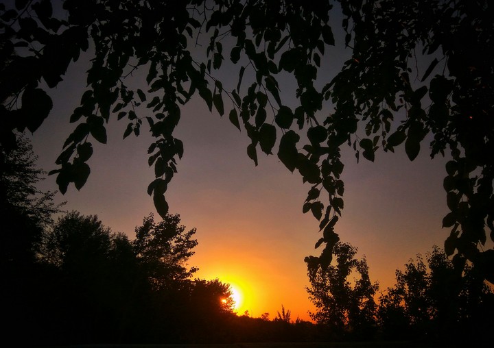 Sunrise