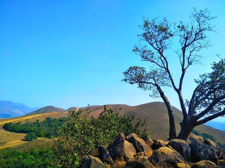 Nature