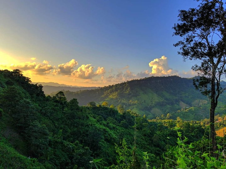 Nature ♥