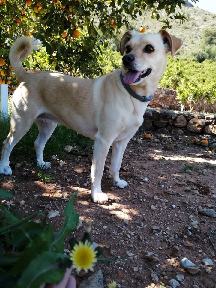 Perla❤️