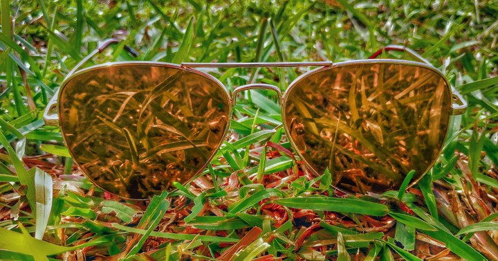 glasses