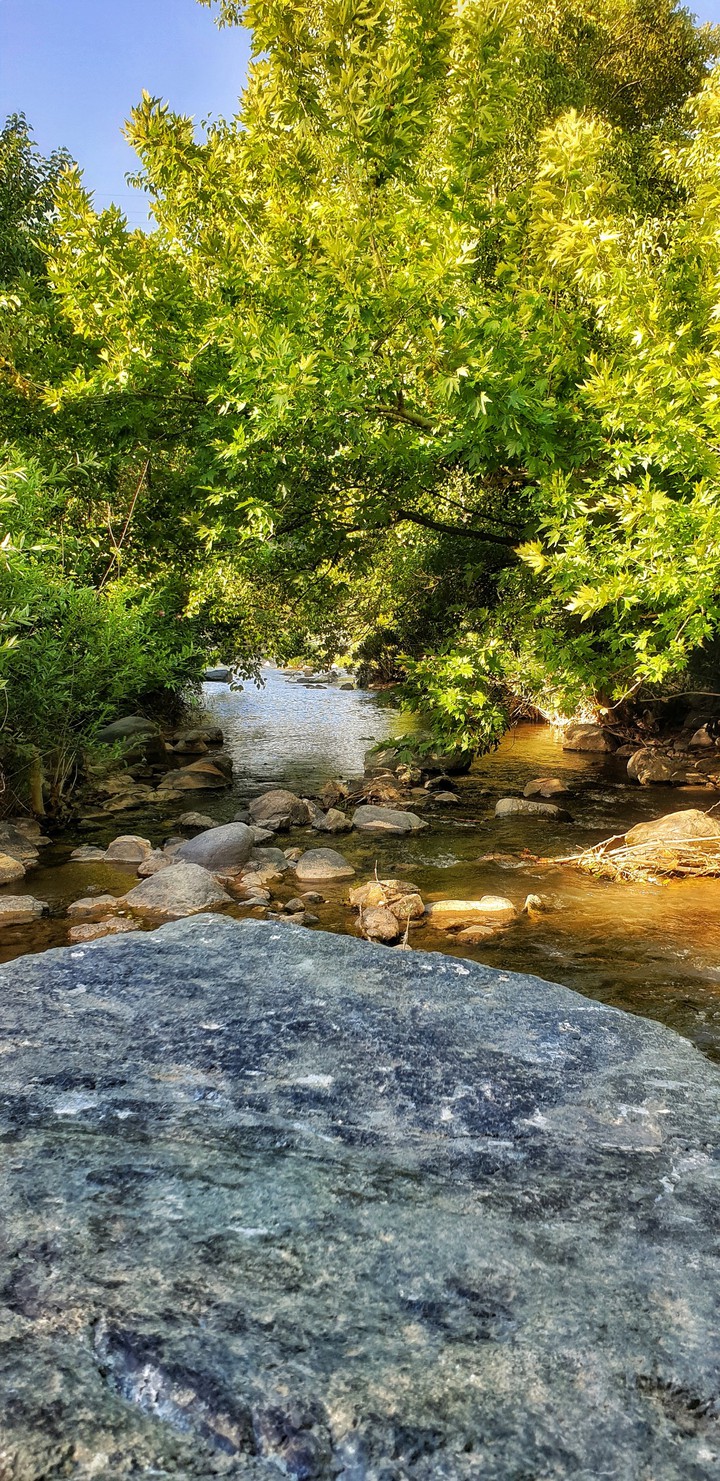 nature