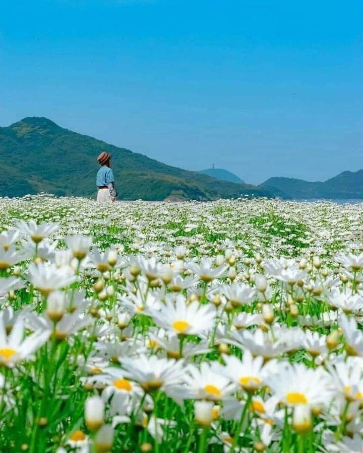 ღ✿◠‿◠✿ღ