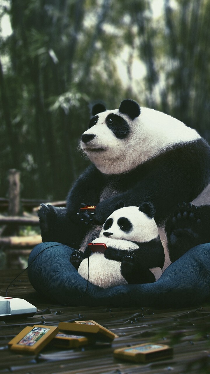 play panda