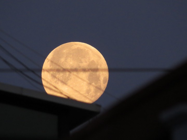 the moon