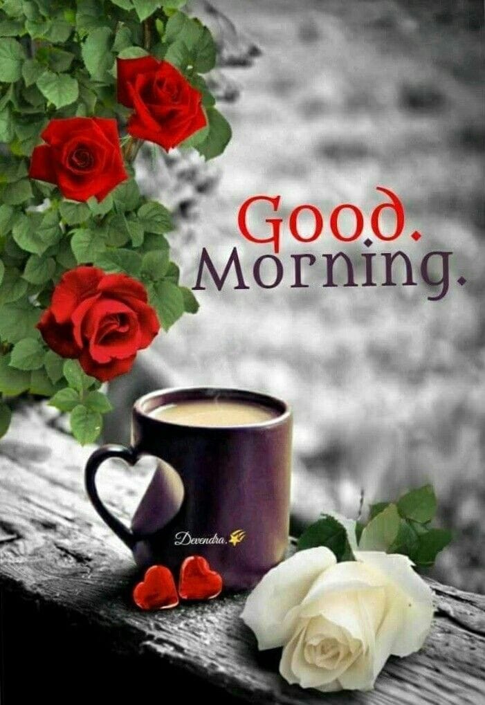 good Morning