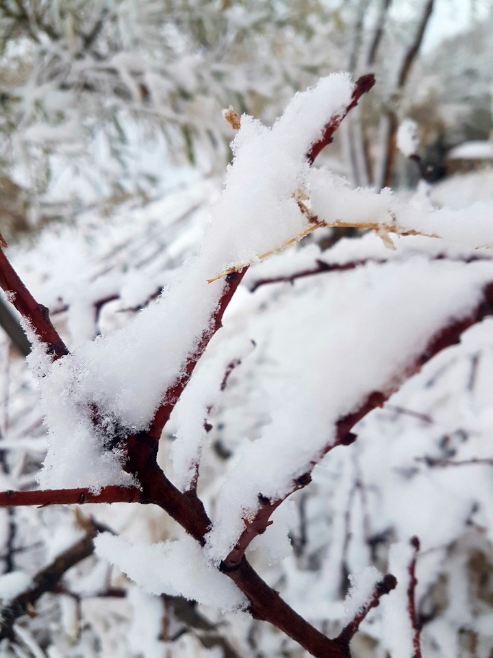 #winter and #snow