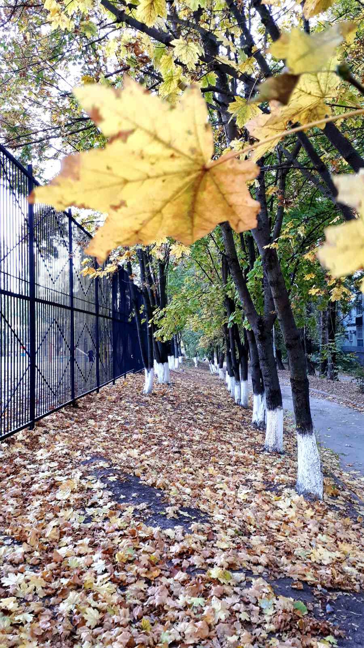осень