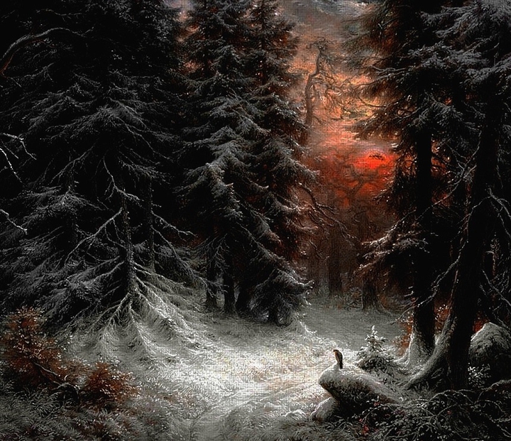 Snow Scene in the Black Forest
♐
