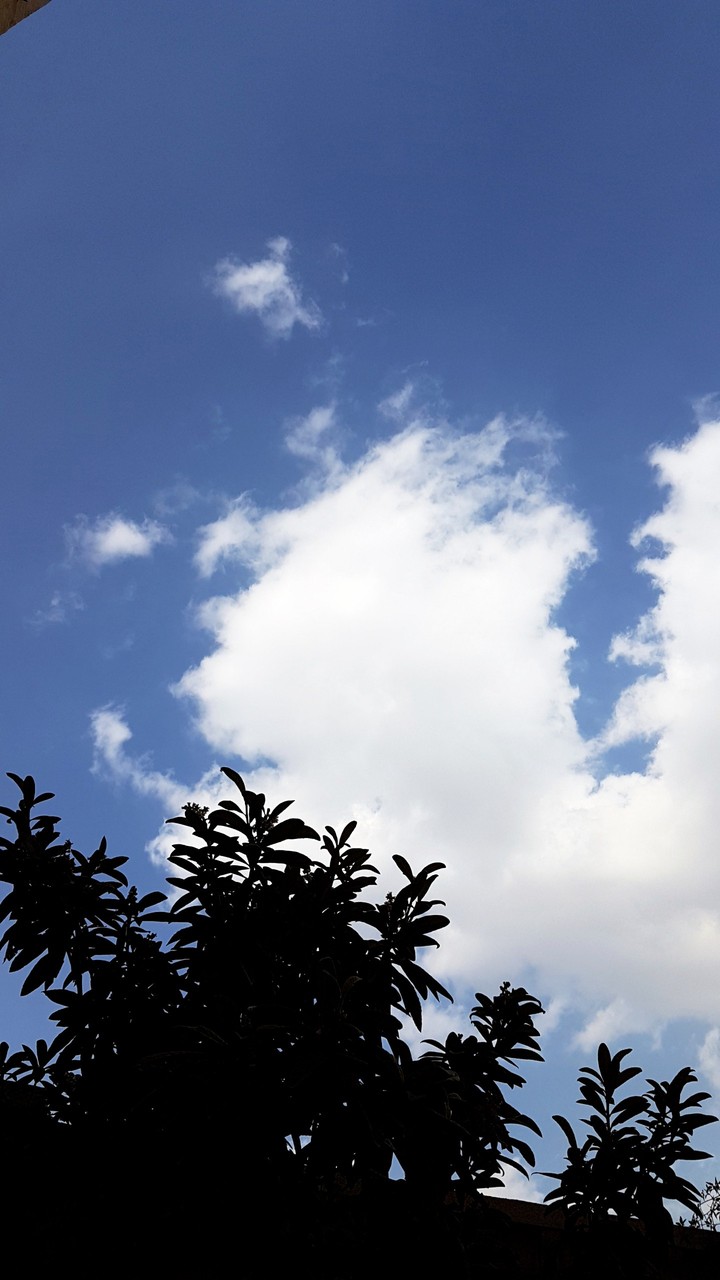 Blue Sky