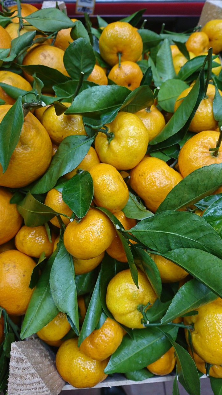 citrus