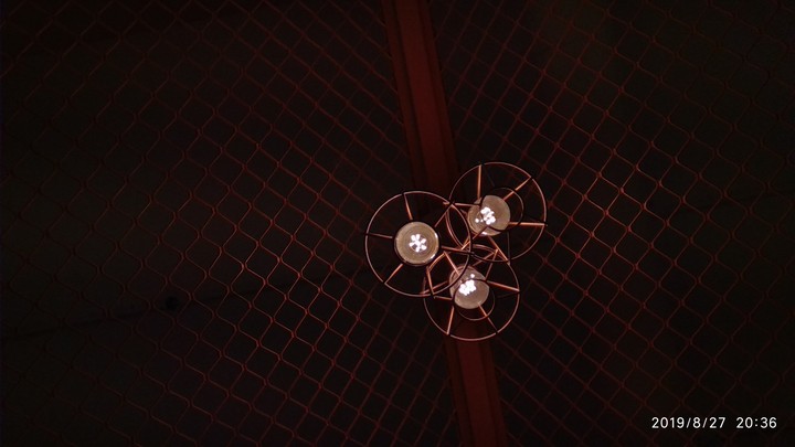 bulb