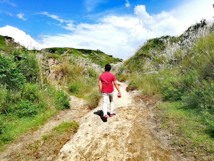 nature path