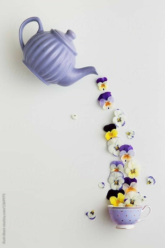 lluvia de flores