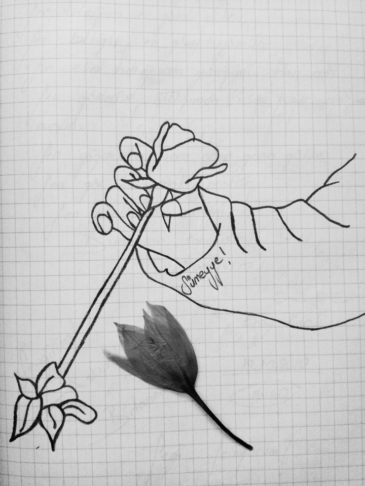 ❤çizim