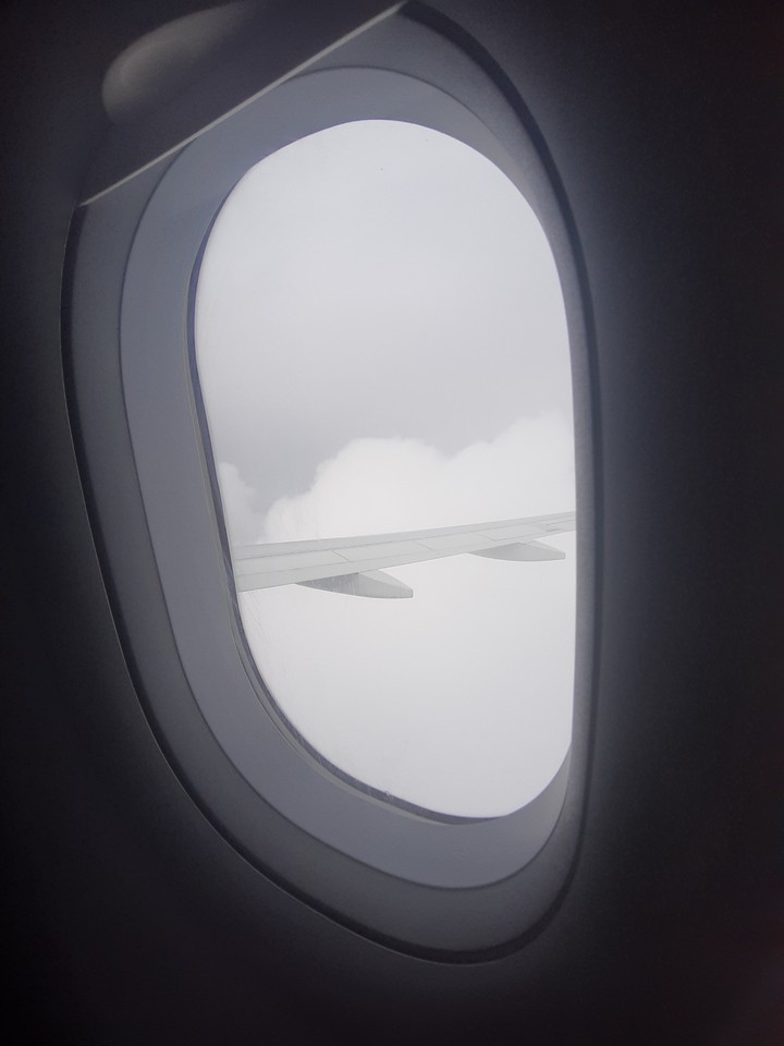 flight
