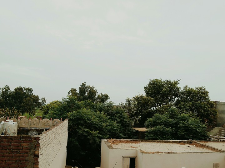 Nature