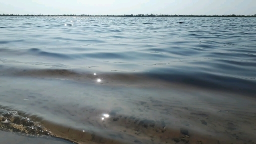 15.08.2019 на озере