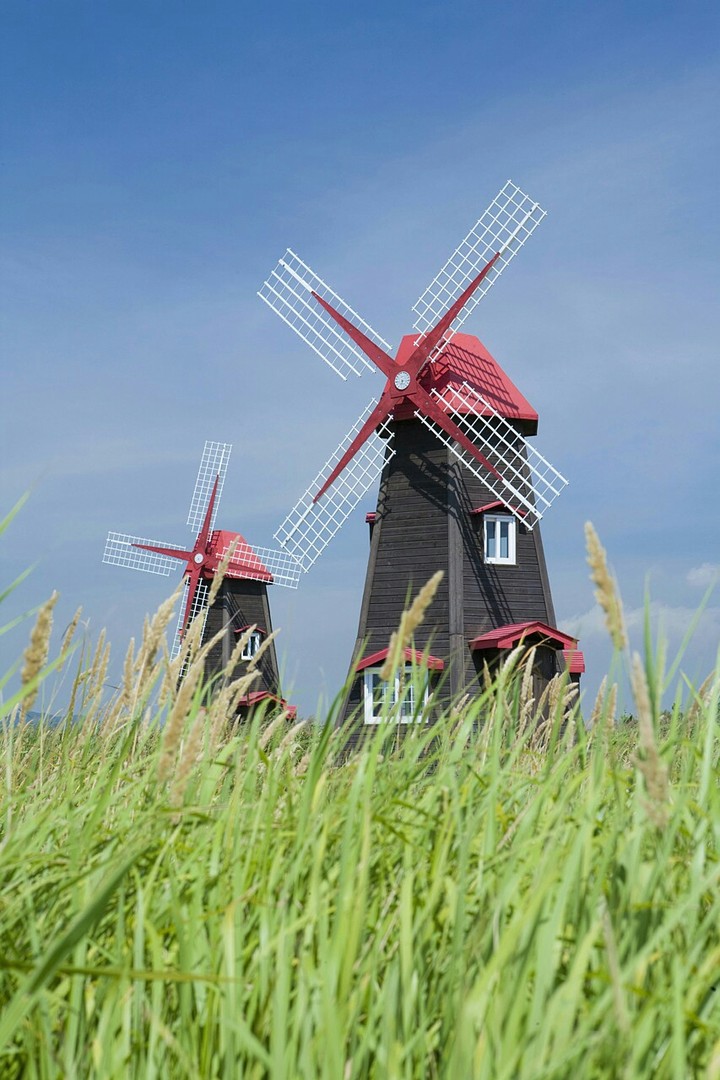 The Beauty of The Windmills