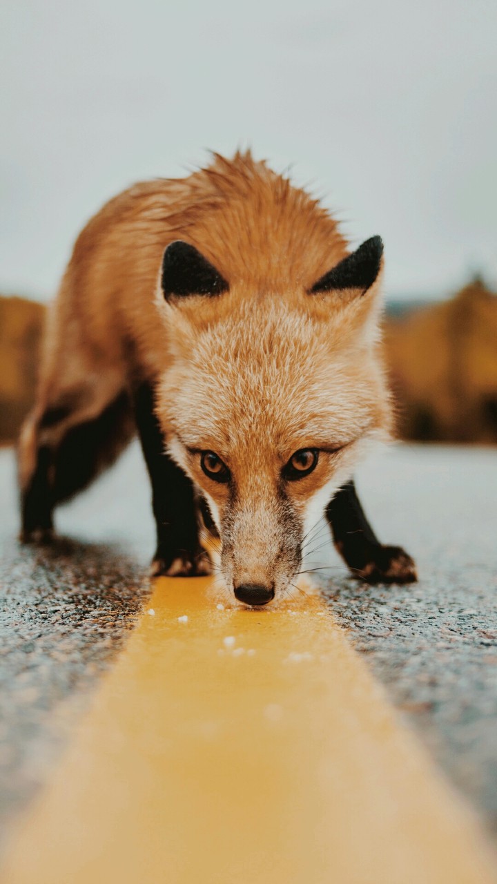 bjjhnbvgh bdjcjnfhjvb hjkunghjkhmk lllunnju hhhbfnnvjbhhbhbb