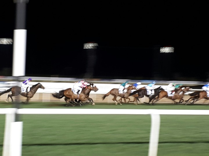 house race dubai