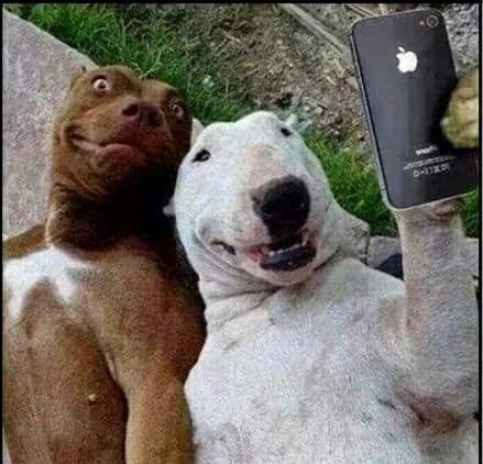 selfe time