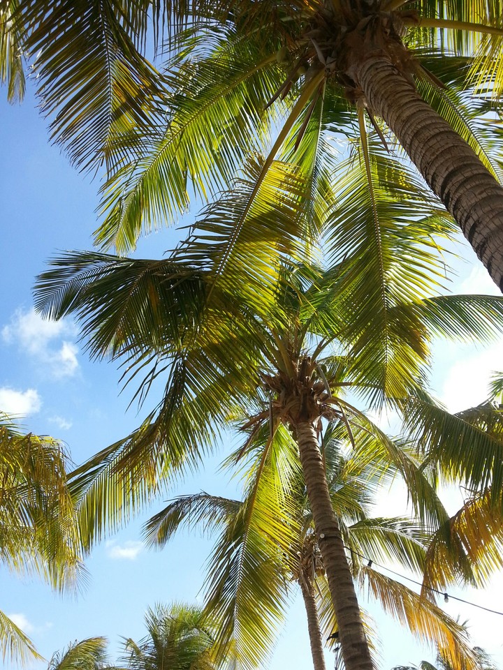 curaçao
