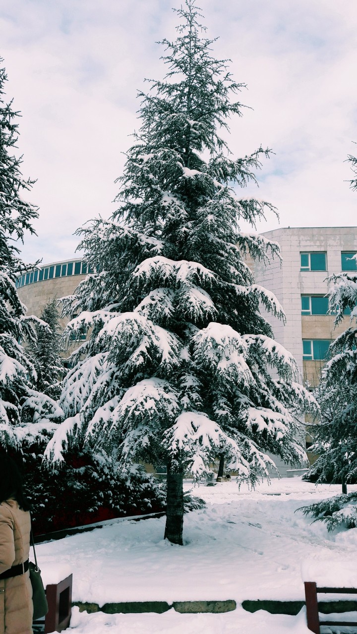 snow