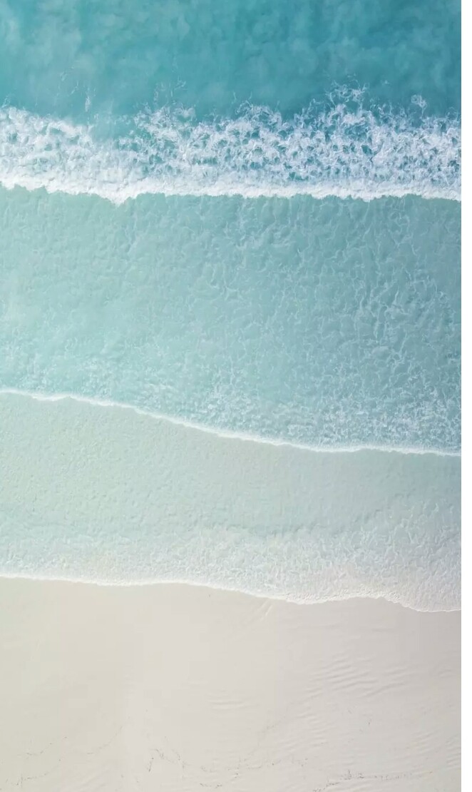 sea shades