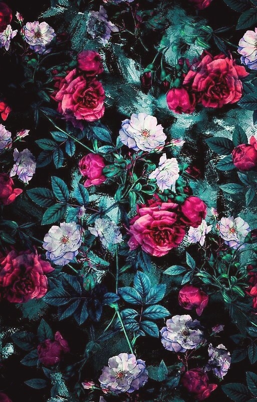 Beautiful flowers