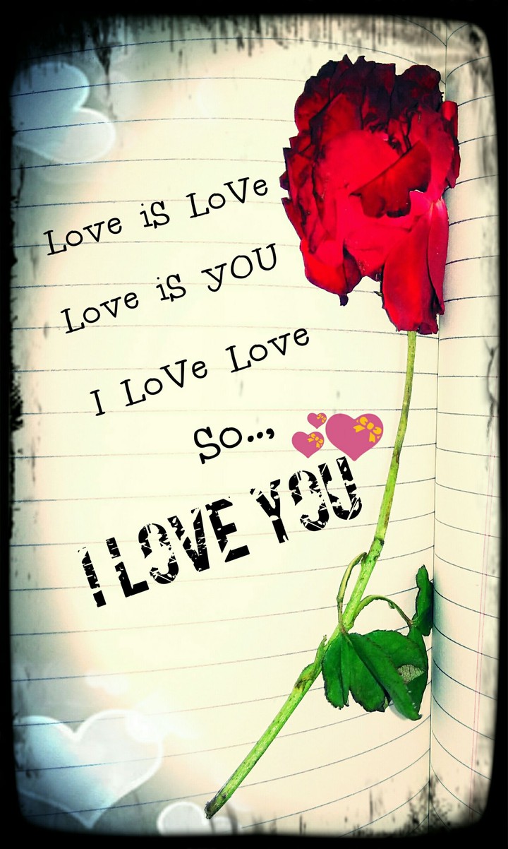 Love+dream+rose+remember